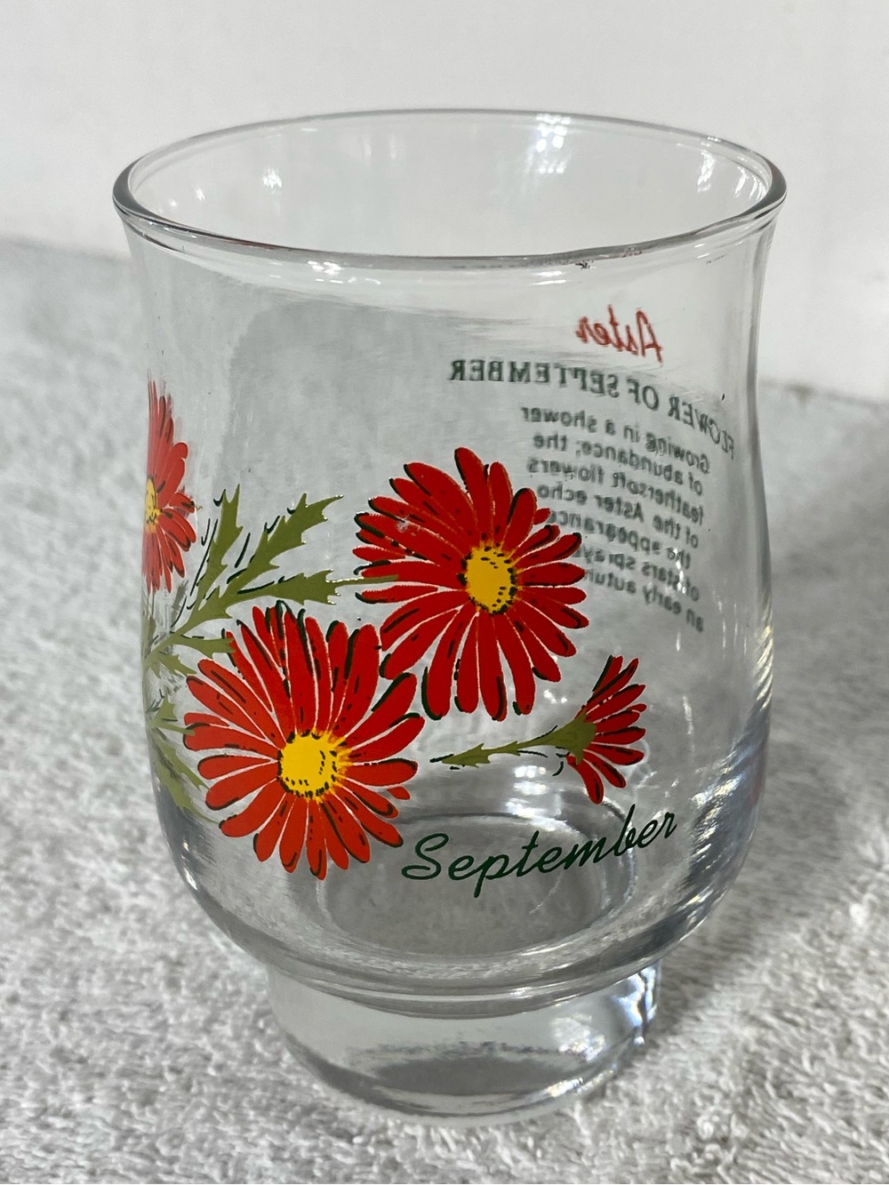 Vintage Dominion Glass September Aster Flower of the Month Footed Tumbler